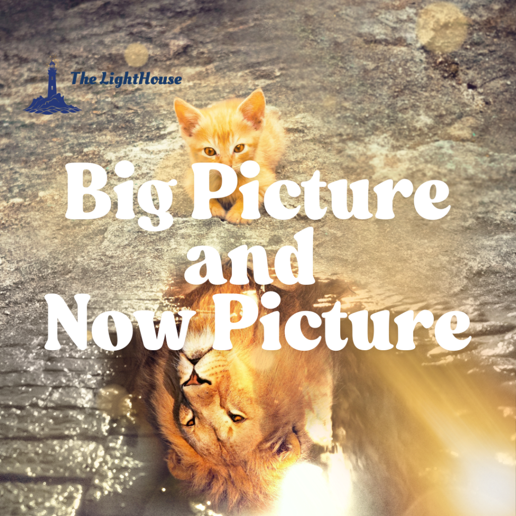 Big Picture and Now Picture