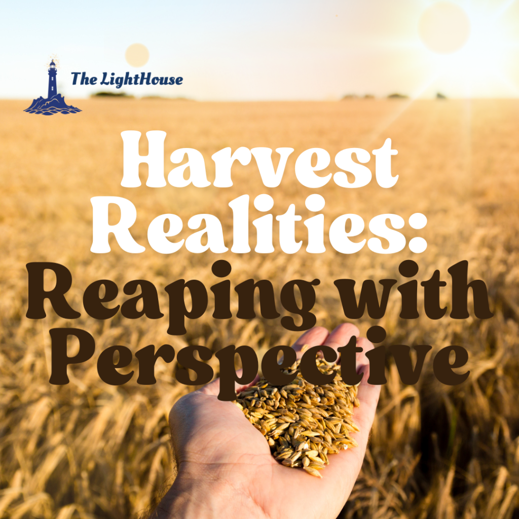 Harvest Realities: Reaping with Perspective