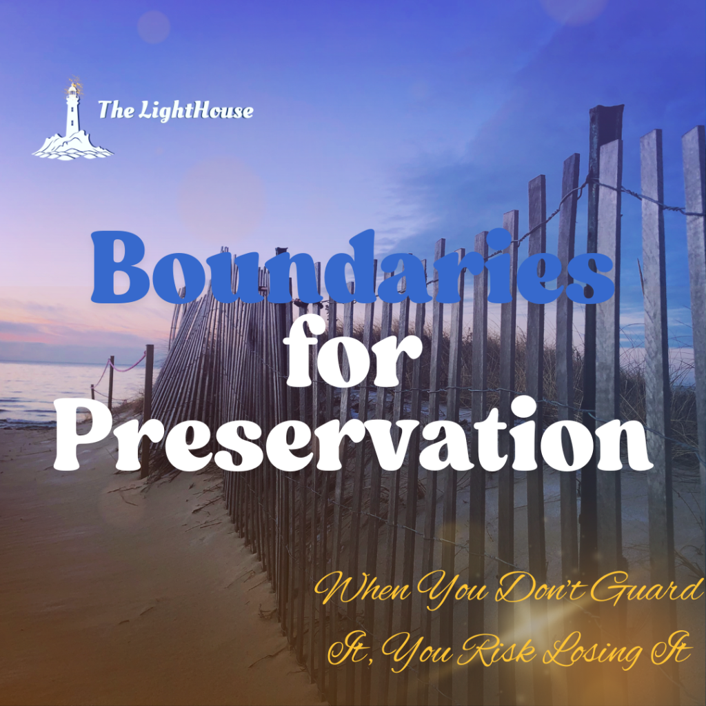 Boundaries for Preservation